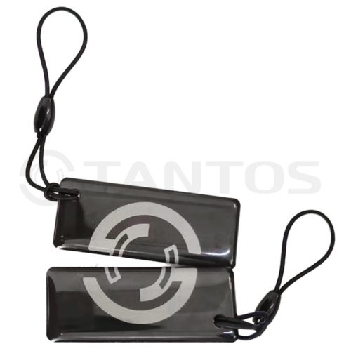 Брелок TS-ICKey