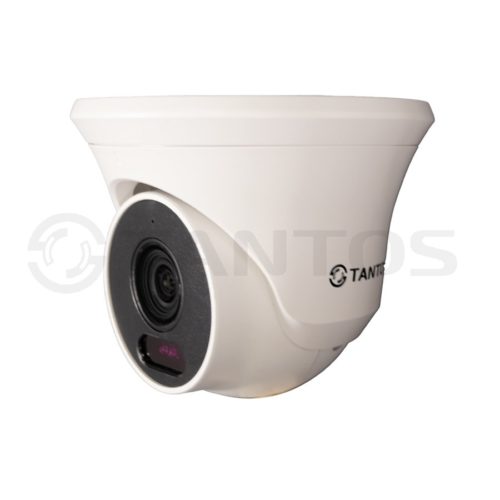 IP-камера TSi-Beco25FP