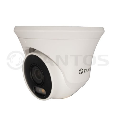 IP-камера TSi-Eeco25FP