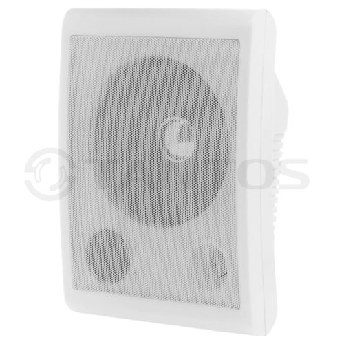 Громкоговоритель TSo-SW6a