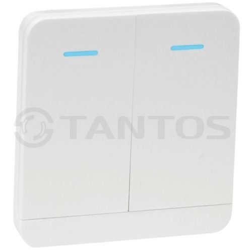 Передатчик клавишный на 2 канала TSt-100HK